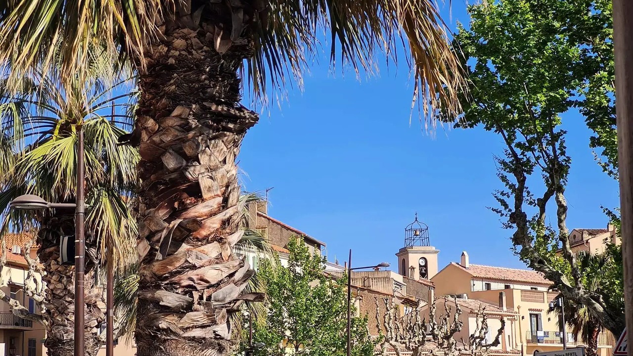 Photo of Others in Sainte-Maxime
