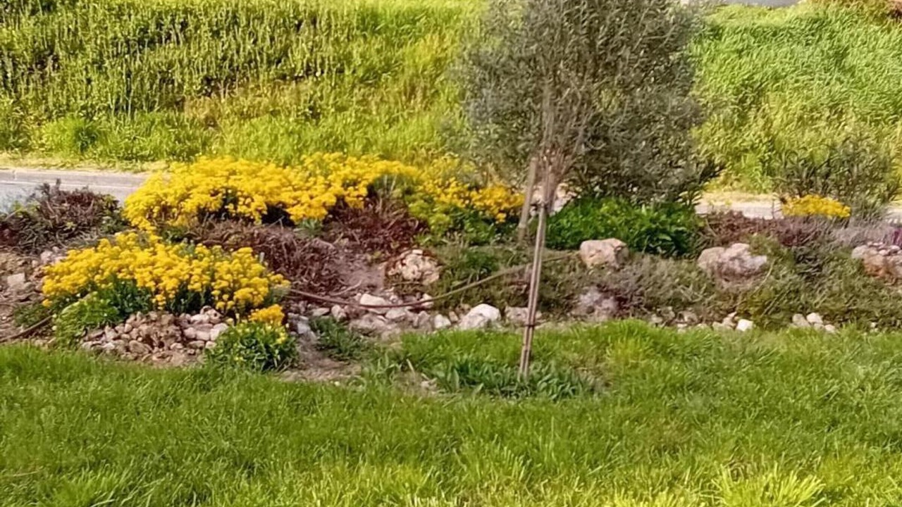 Photo of Outdoor in Baignes-Sainte-Radegonde