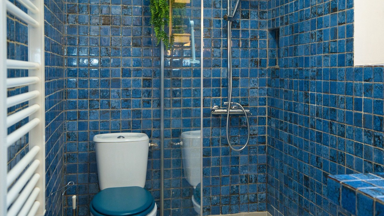 Photo of Bathroom in Biot