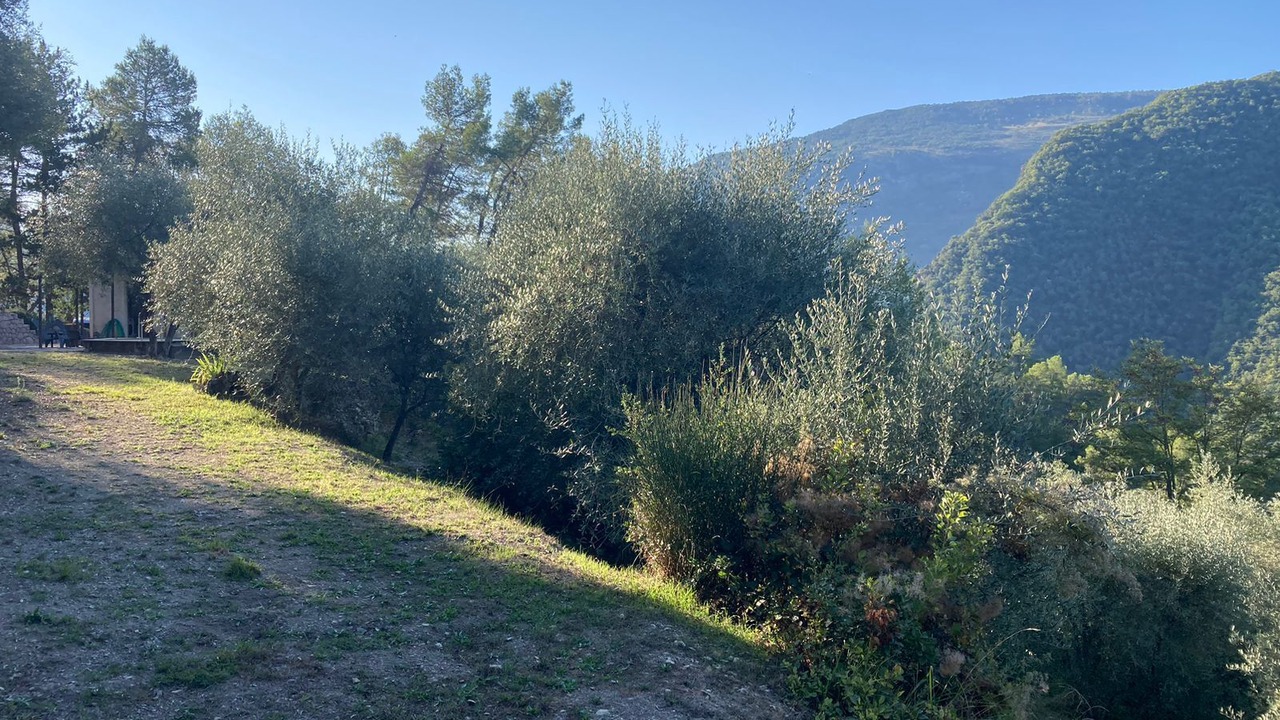 Photo of Outdoor in Toudon
