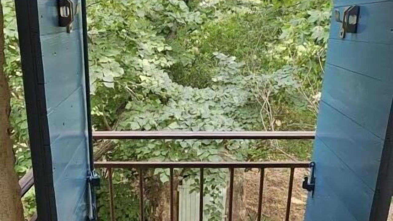 Photo of Outdoor in Cuers