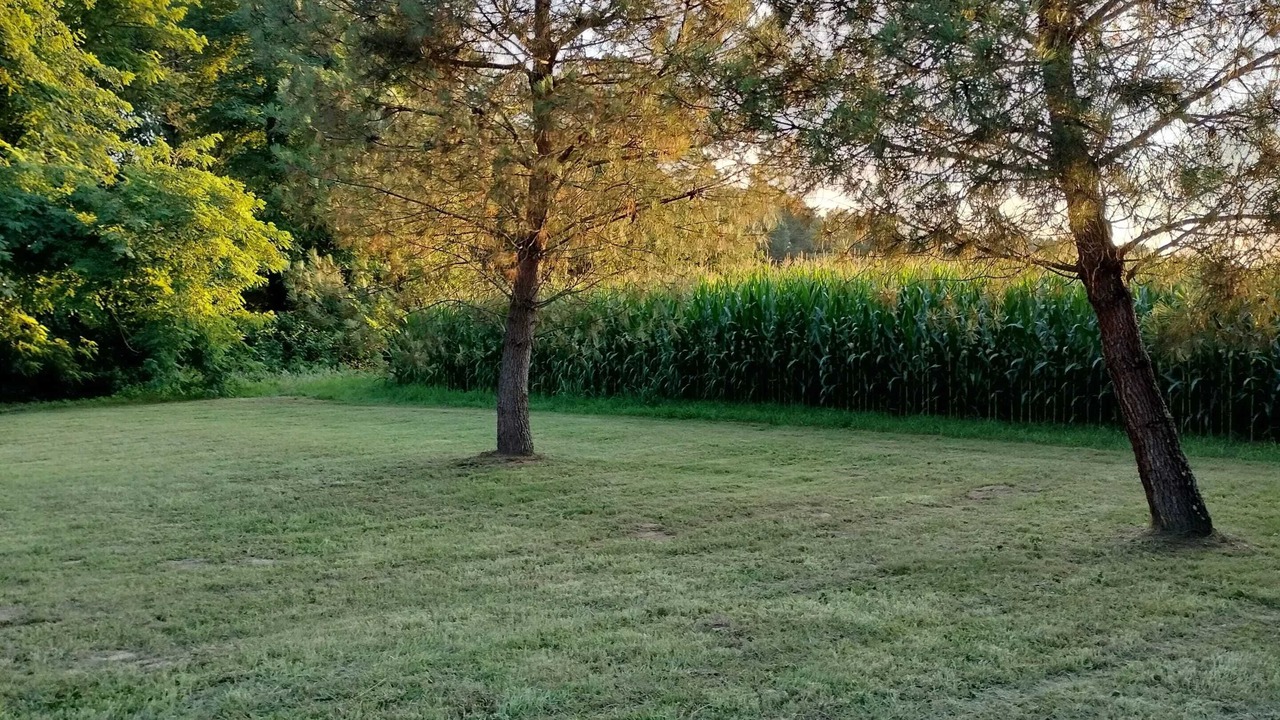 Photo of Others in Saint-Vincent-de-Paul