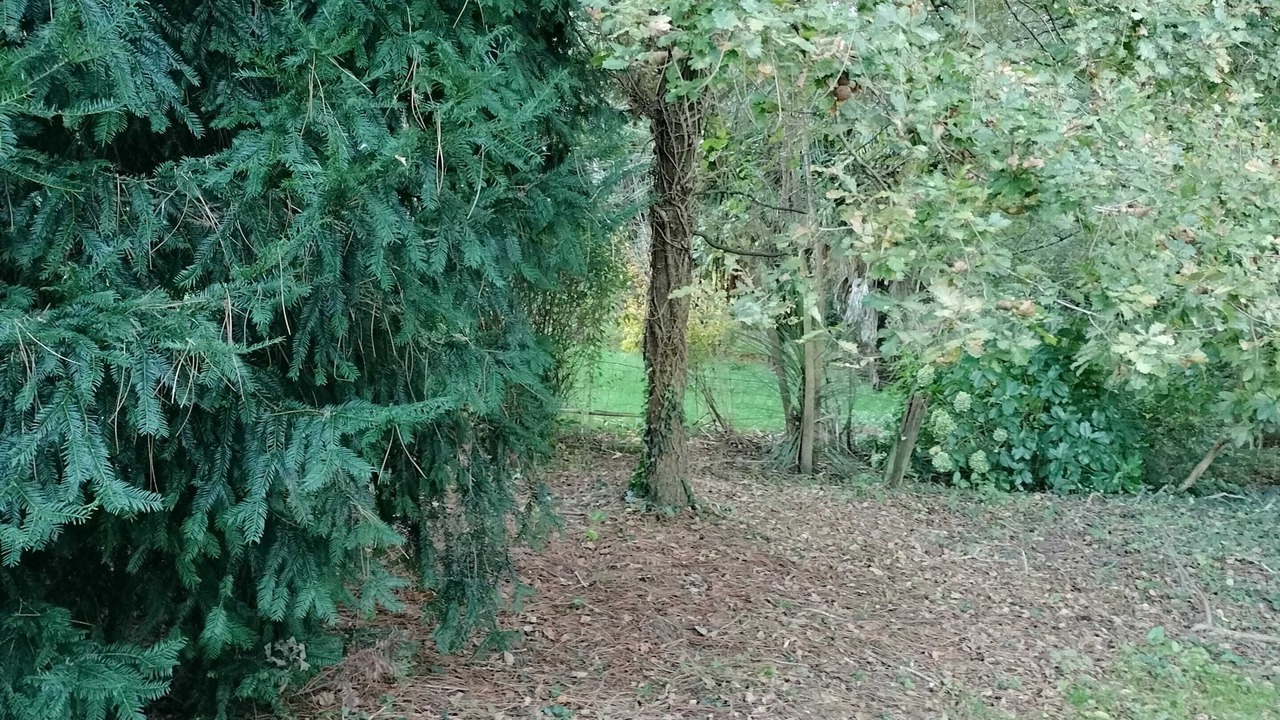 Photo of Outdoor in Saint-Vincent-de-Paul