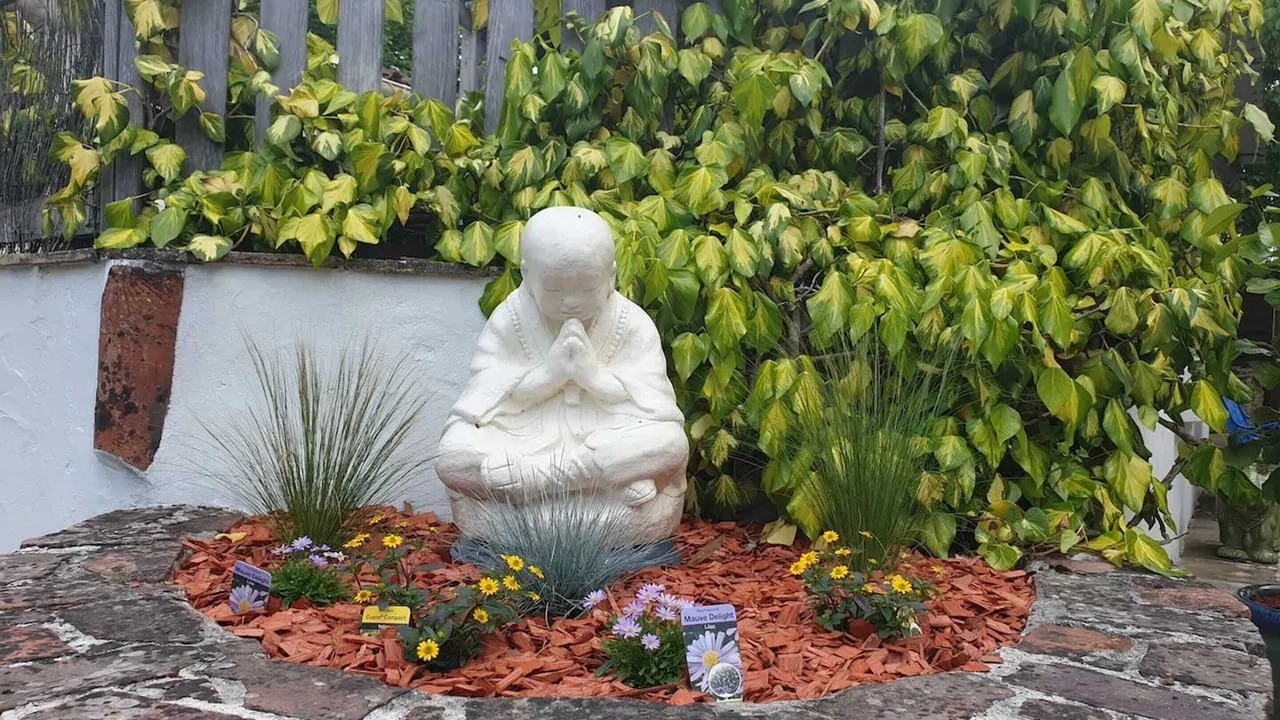 Photo of Outdoor in Meursac