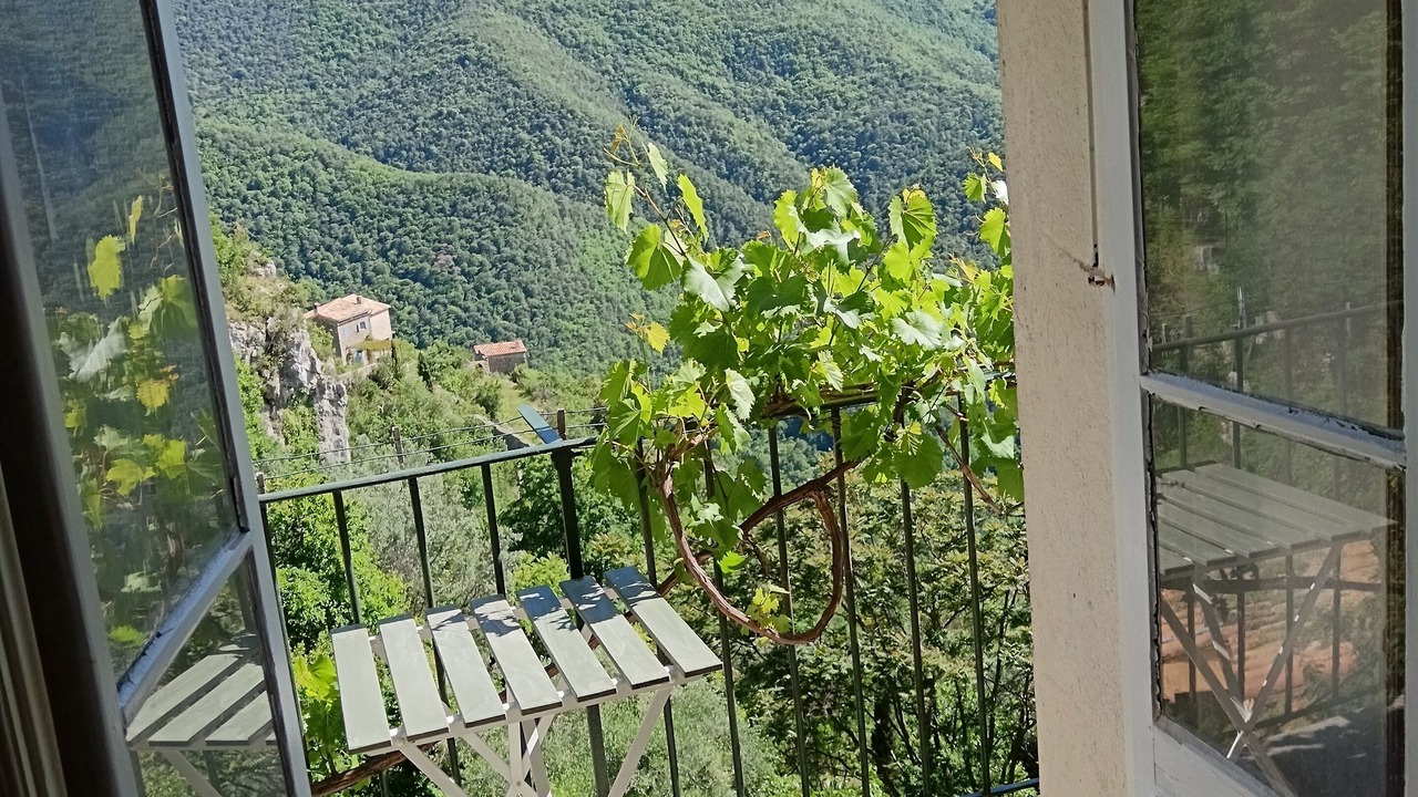 Photo of Others in Sigale