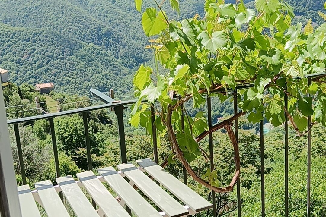 Photo of Outdoor in Sigale