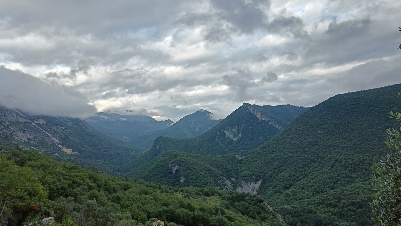 Photo of Others in Sigale