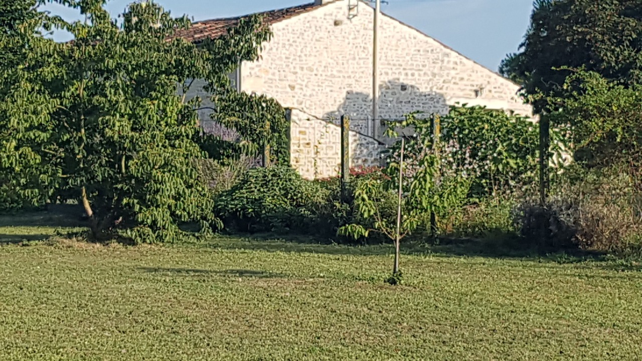 Photo of Outdoor in Montpellier de Medillan