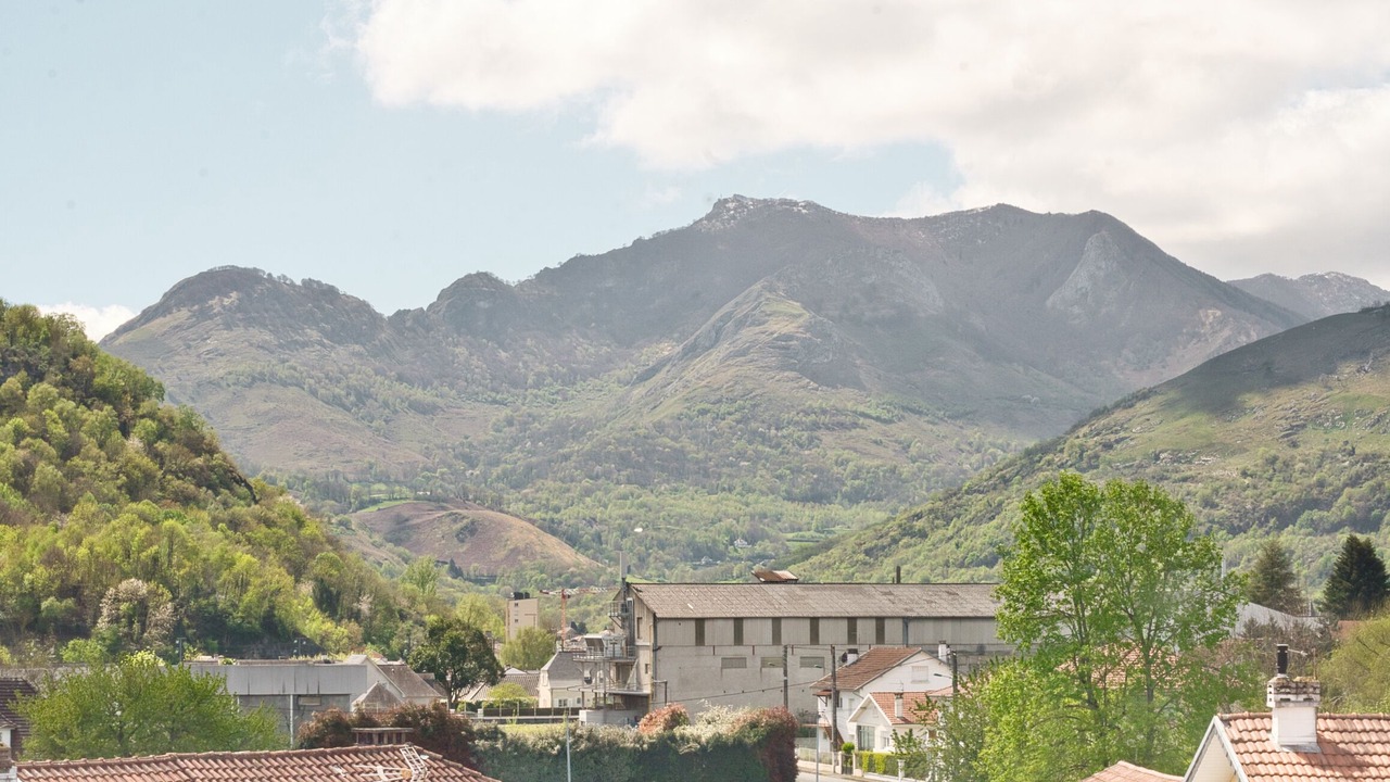 Photo of Others in Lourdes