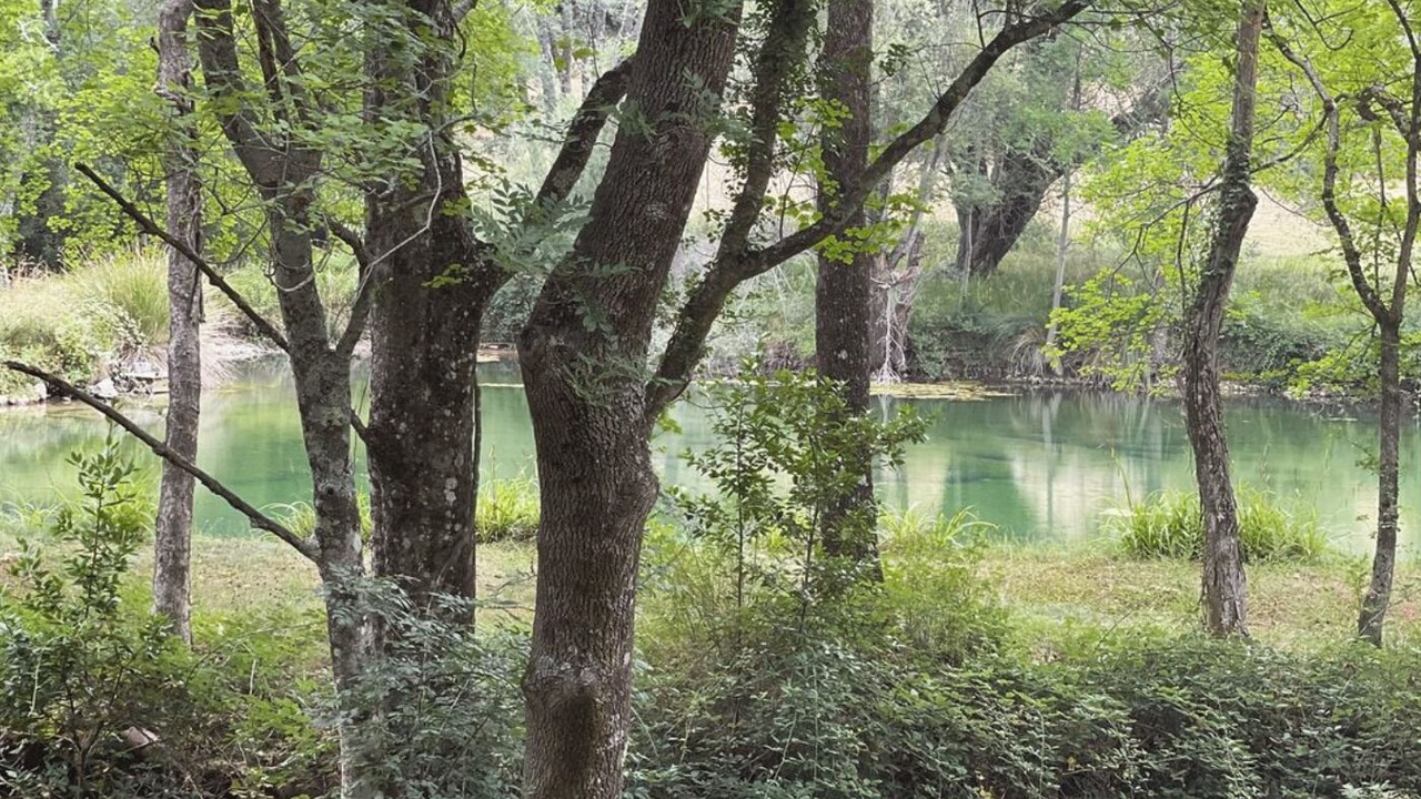 Photo of Outdoor in Saint-Vallier-de-Thiey