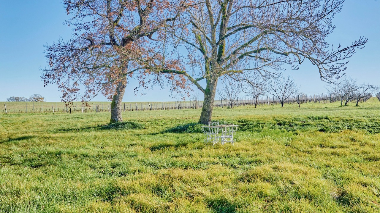 Photo of Others in Maignaut-Tauzia