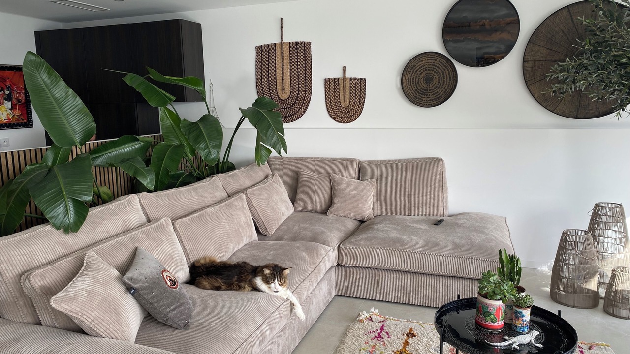 Photo of Livingroom in Eze