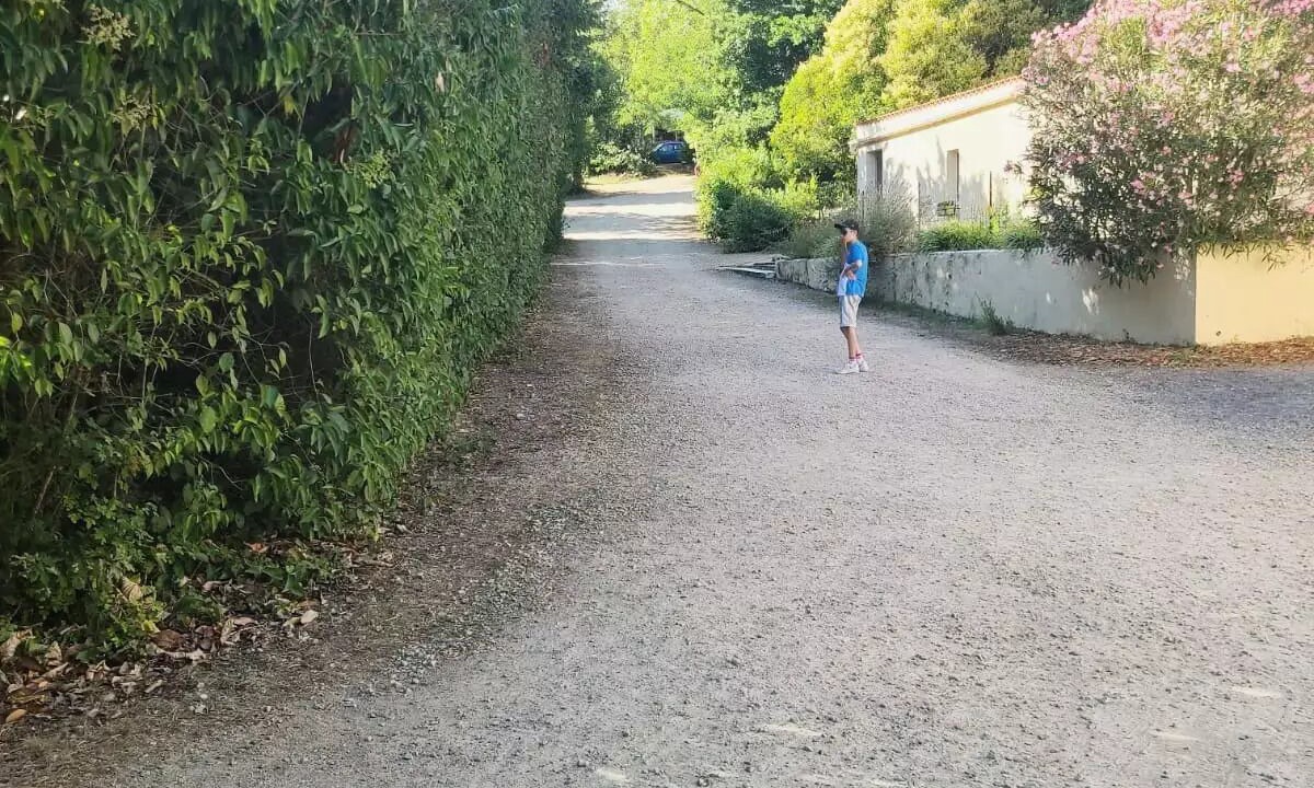 Photo of Others in Commequiers