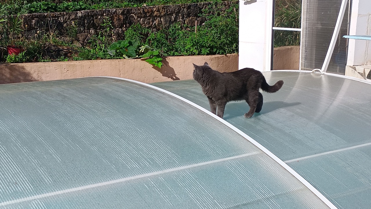 Photo of Outdoor in Nice