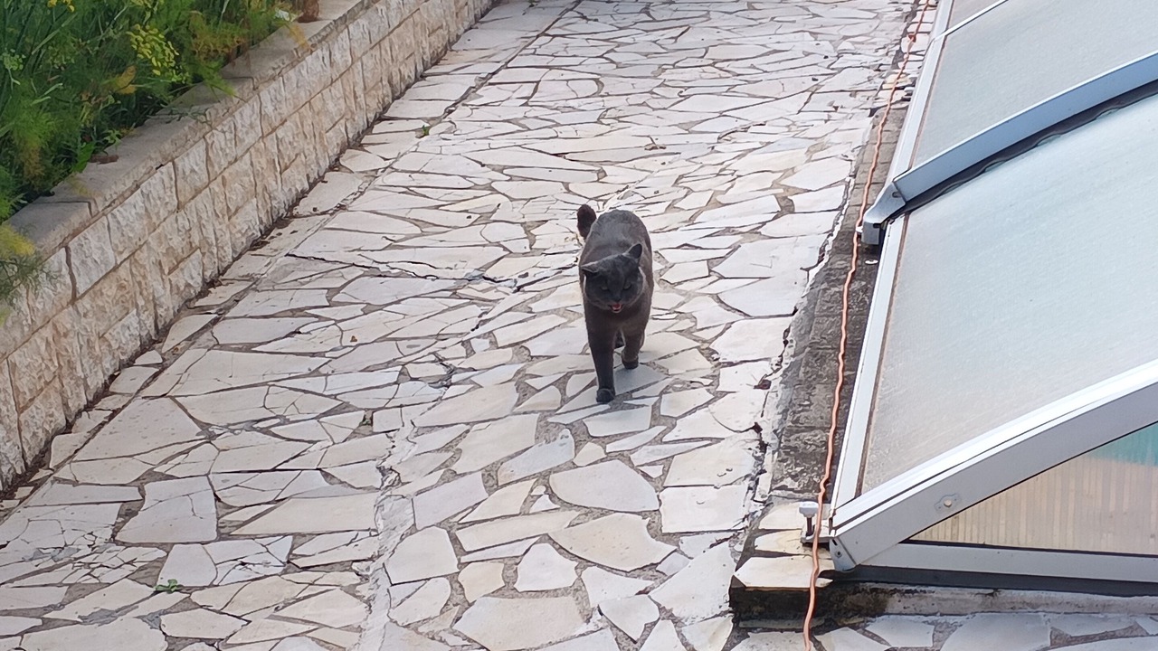 Photo of Outdoor in Nice