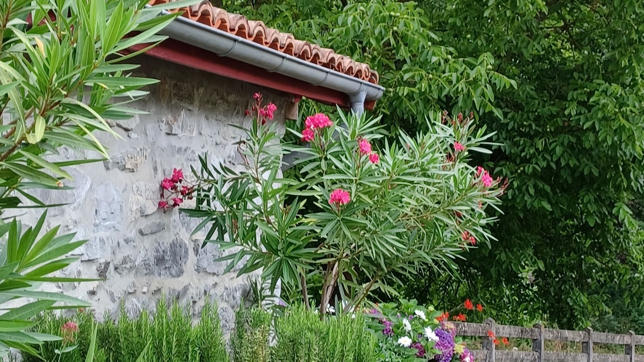 Photo of Outdoor in Saint-Esteben