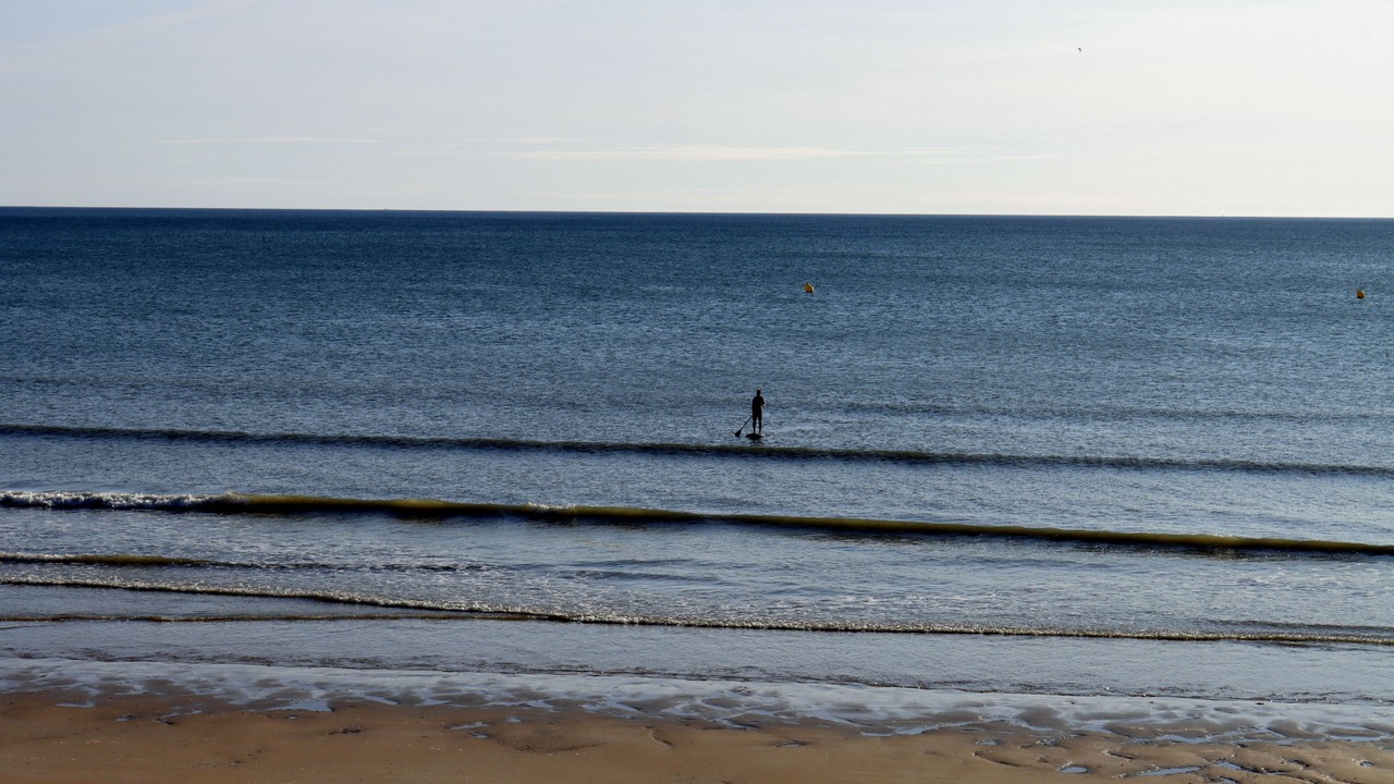Photo of Others in Saint-Jean-de-Monts