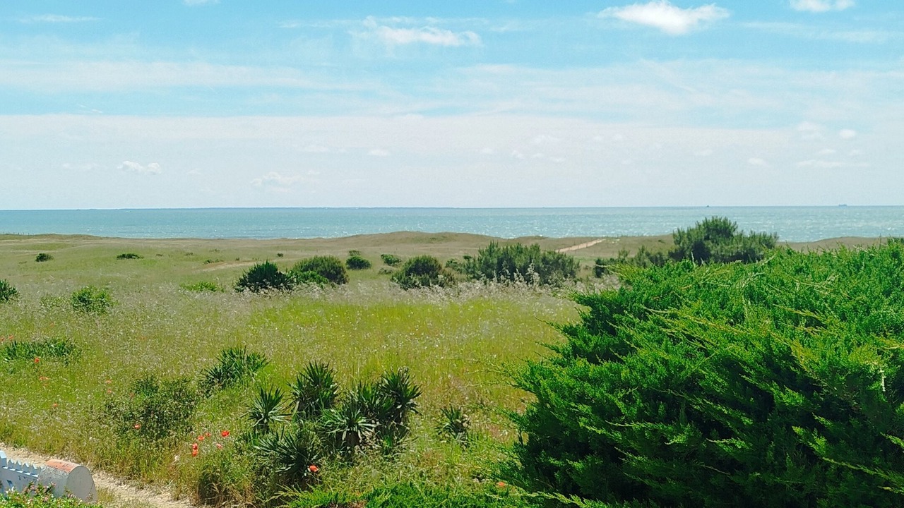 Photo of Outdoor in Barbatre