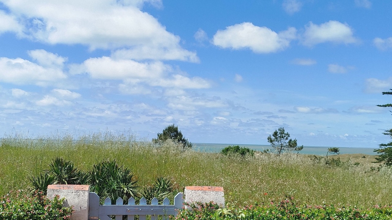 Photo of Outdoor in Barbatre