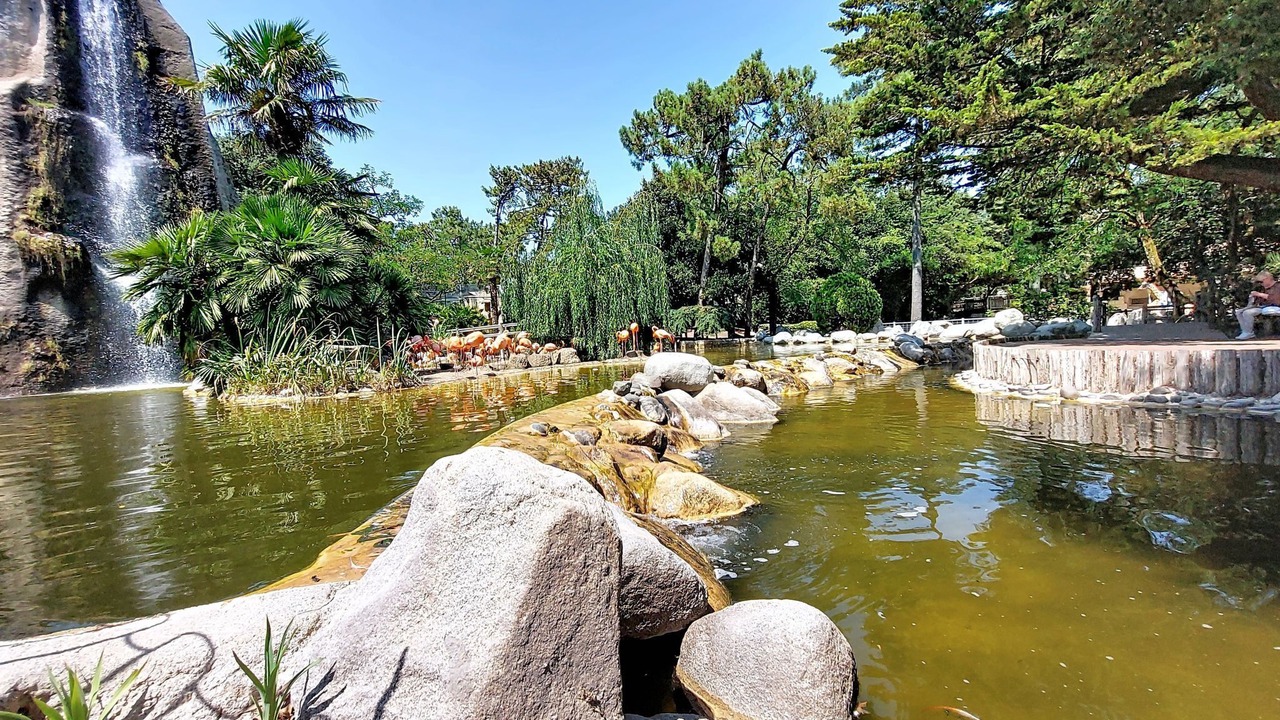 Photo of Others in La Palmyre