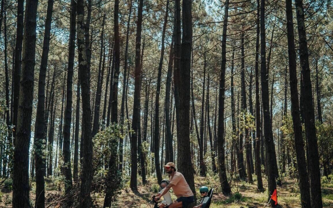 Photo of Others in Saubrigues