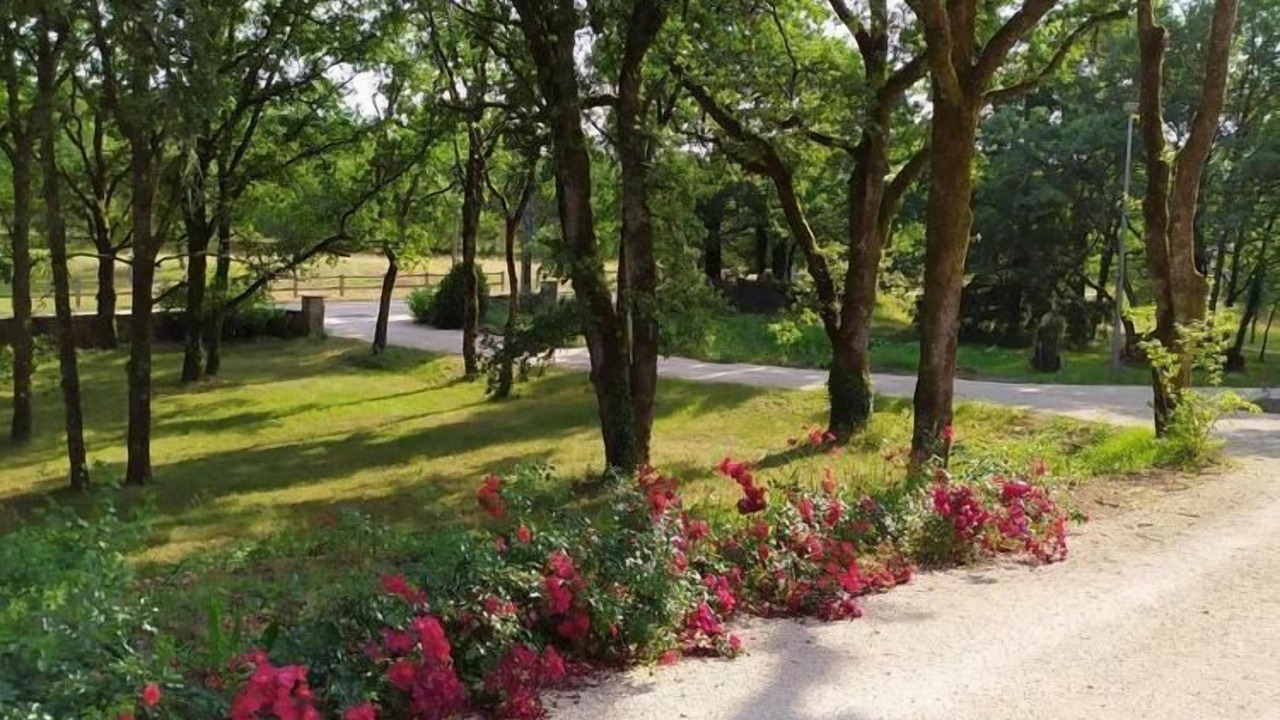 Photo of Outdoor in Gignac
