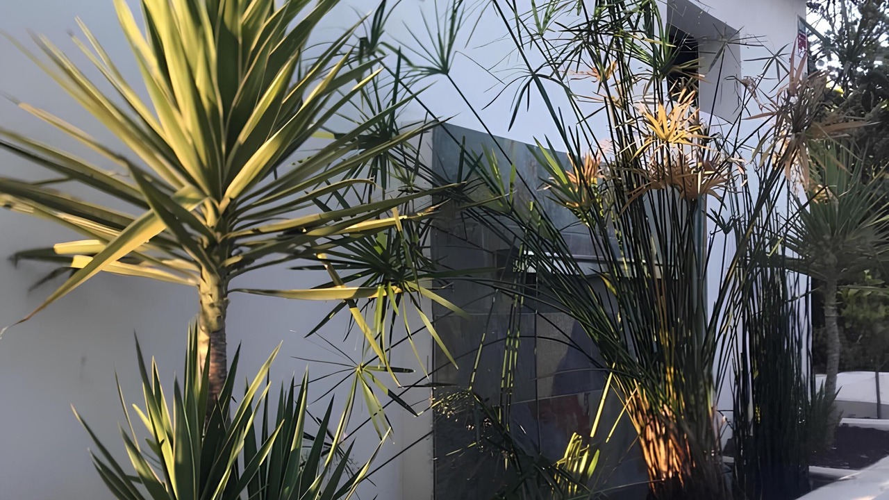 Photo of Outdoor in Lorgues