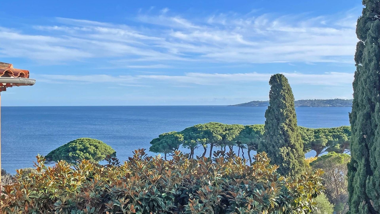 Photo of Others in Sainte-Maxime