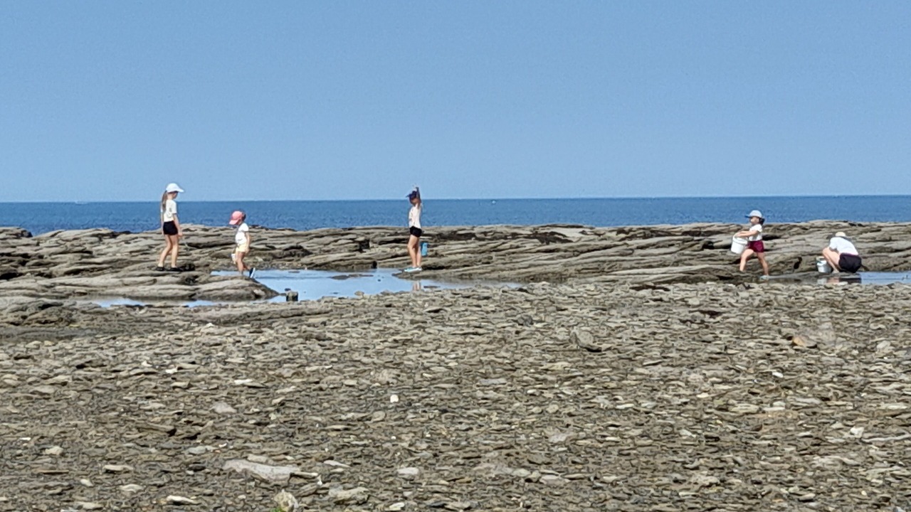 Photo of Others in La Plaine-sur-Mer