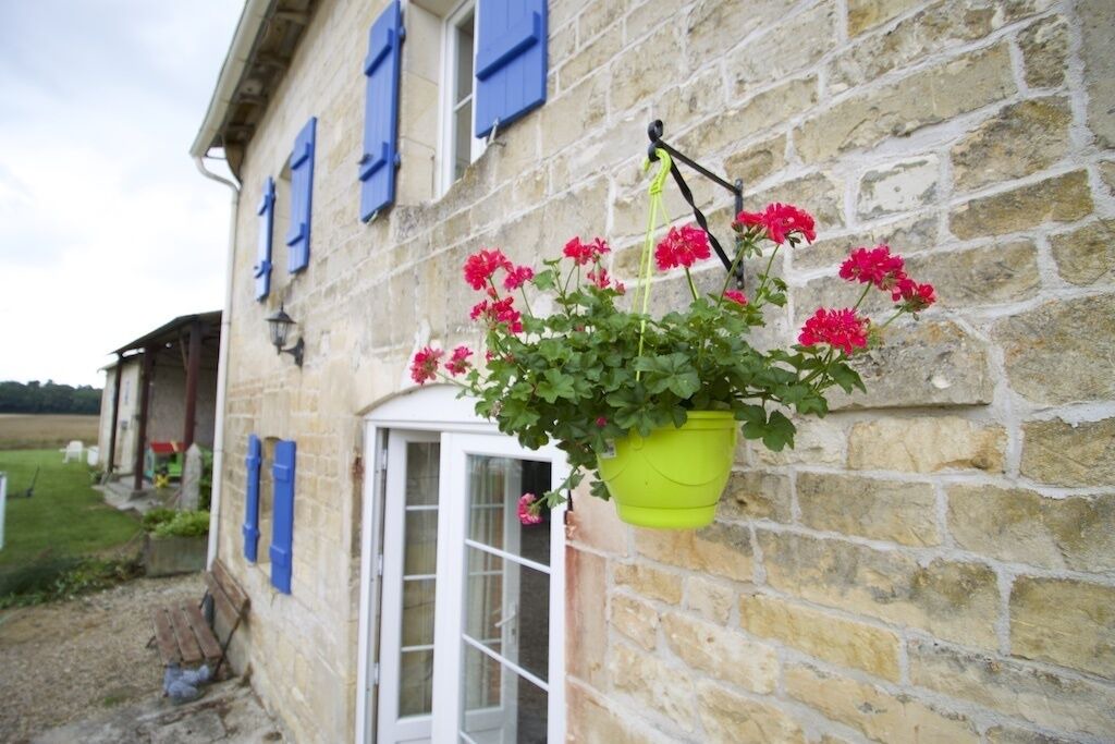 Photo of Outdoor in Saint Germain du Seudre