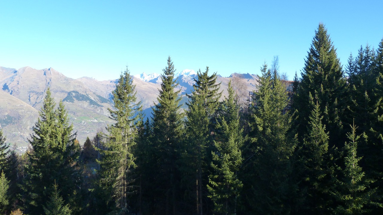 Photo of Outdoor in Arc-1800