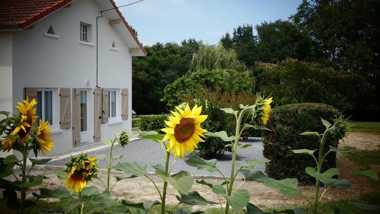 Photo of Outdoor in Angoume