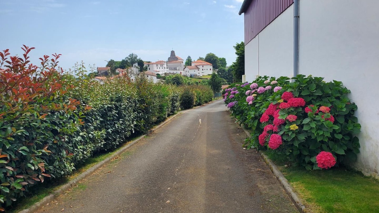 Photo of Outdoor in Mendionde