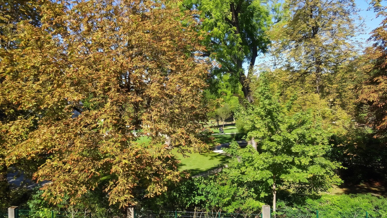 Photo of Outdoor in Cognac