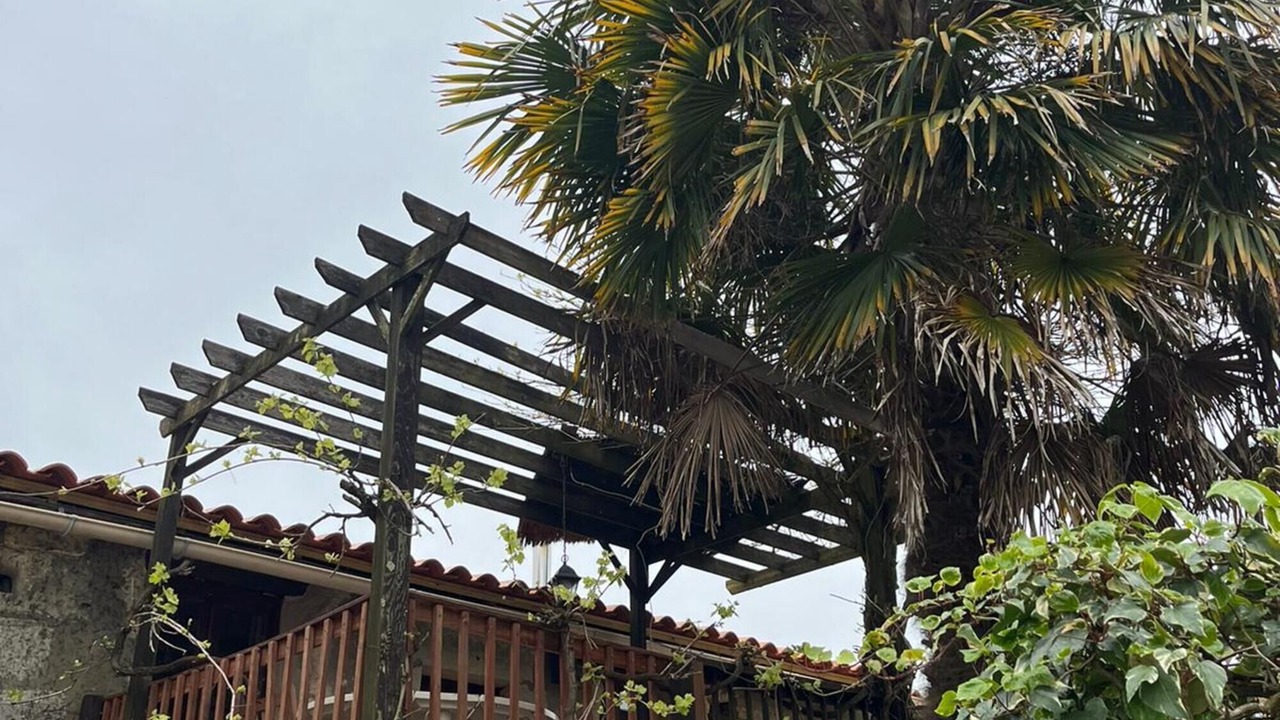 Photo of Outdoor in Gemozac