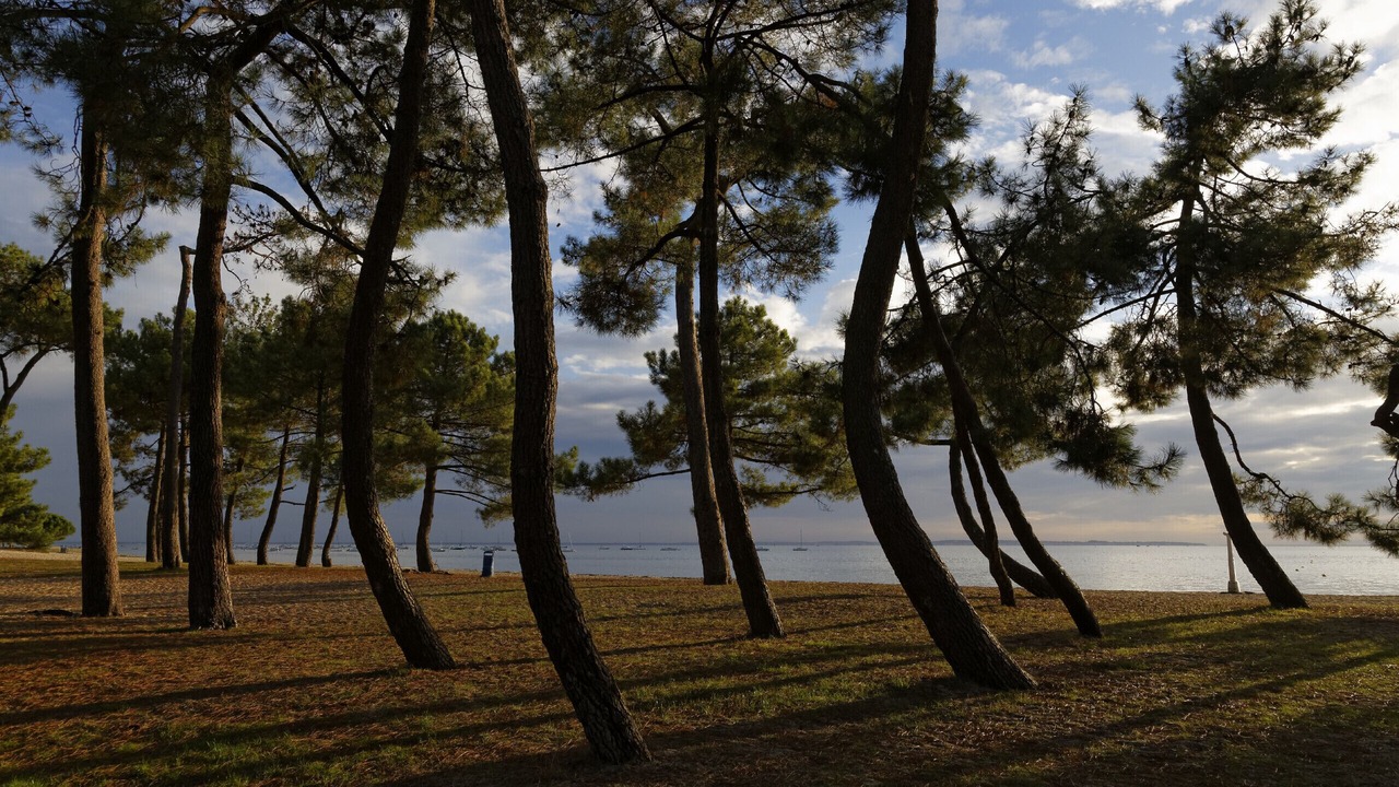 Photo of Others in Andernos-les-Bains