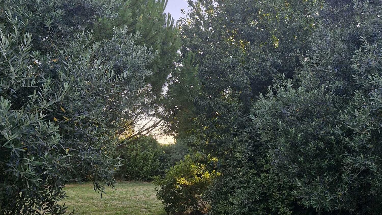 Photo of Outdoor in Berneuil