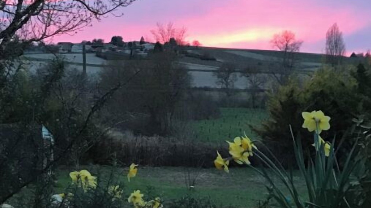 Photo of Outdoor in Pereuil