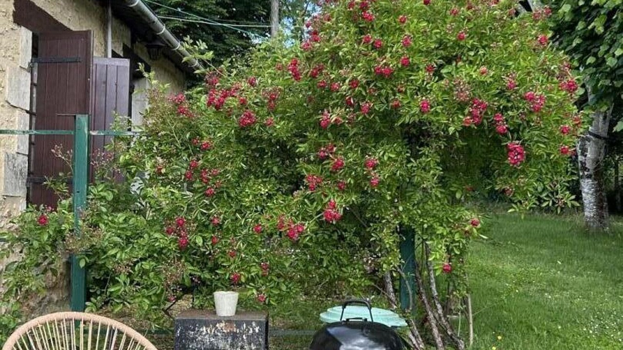 Photo of Outdoor in Siorac-en-Perigord