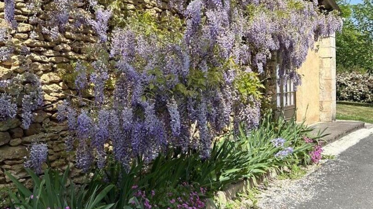 Photo of Outdoor in Siorac-en-Perigord