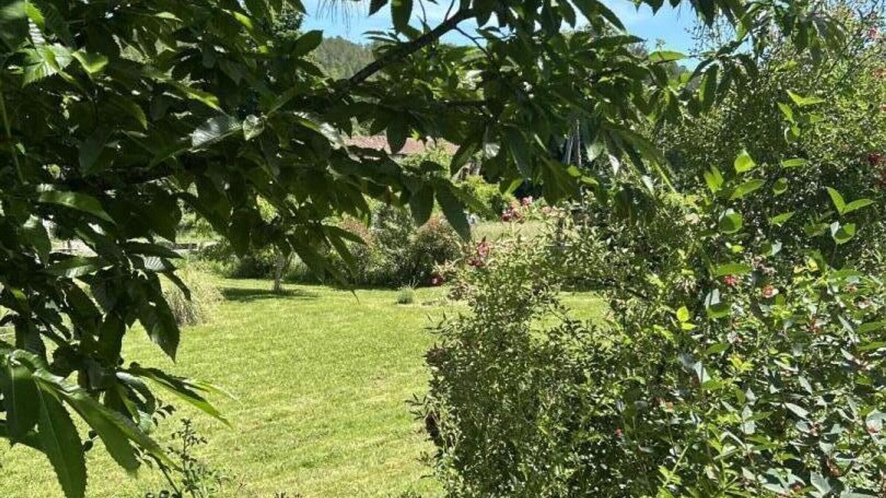 Photo of Outdoor in Siorac-en-Perigord