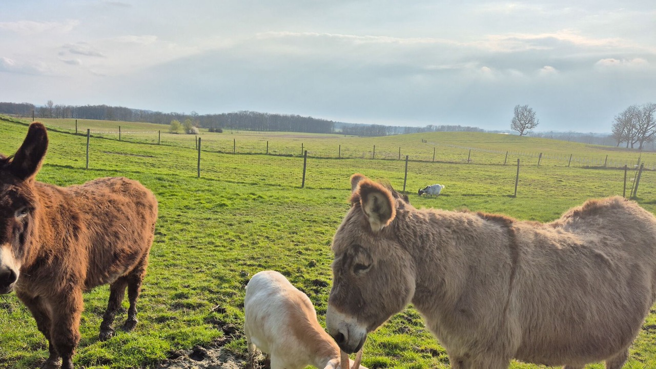 Photo of Others in Nojals-et-Clotte
