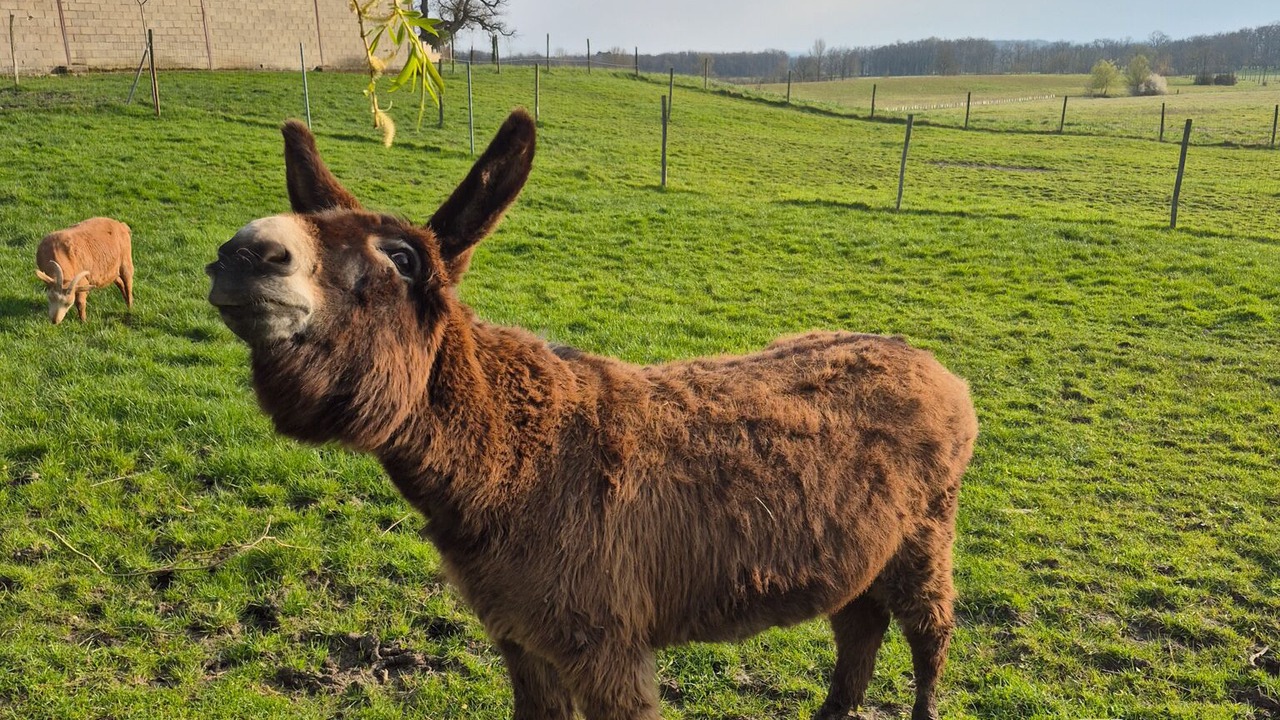 Photo of Others in Nojals-et-Clotte