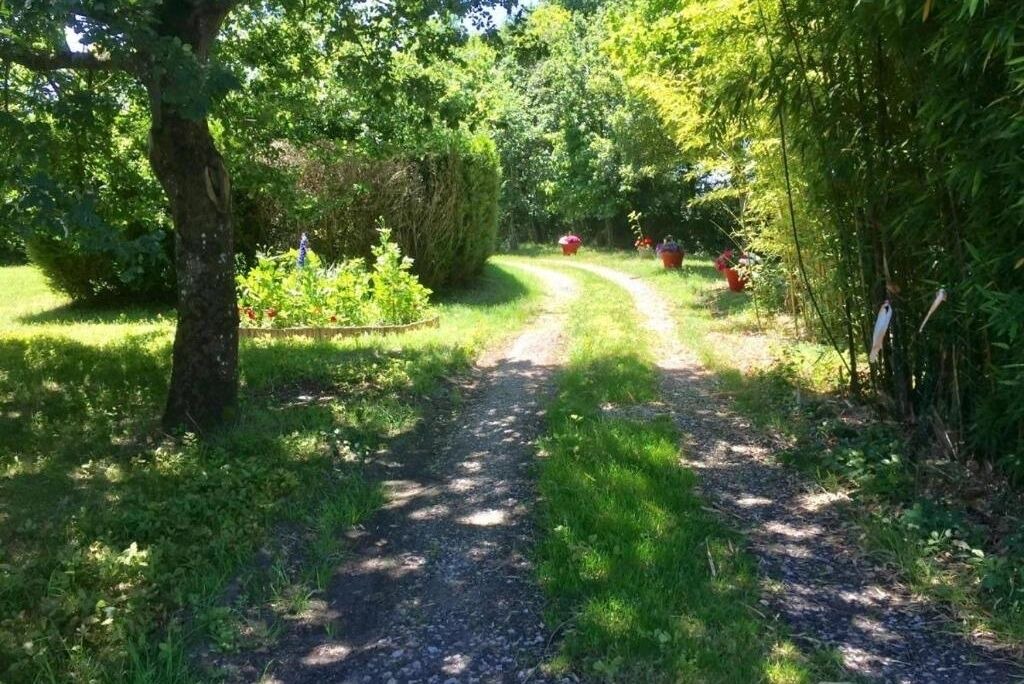 Photo of Outdoor in Touvois