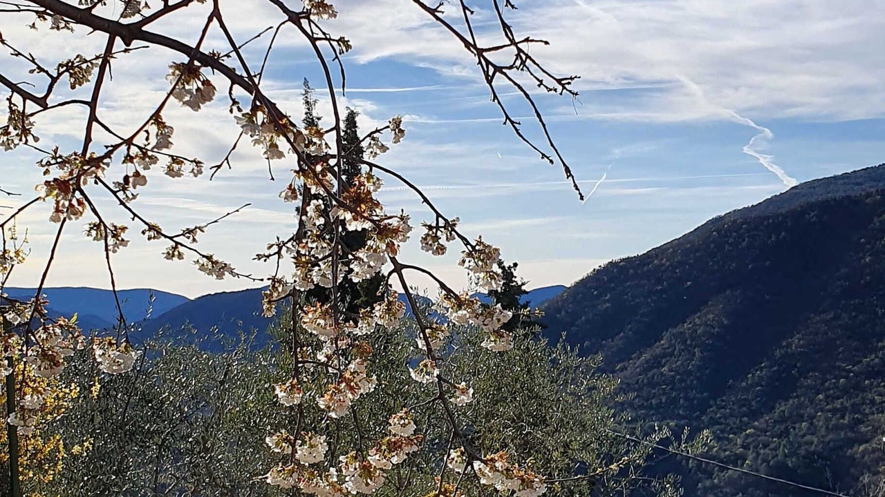 Photo of Outdoor in Pierrefeu