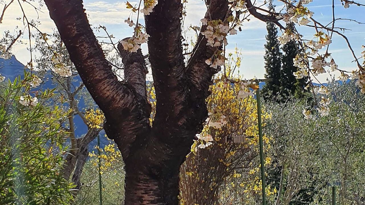Photo of Outdoor in Pierrefeu