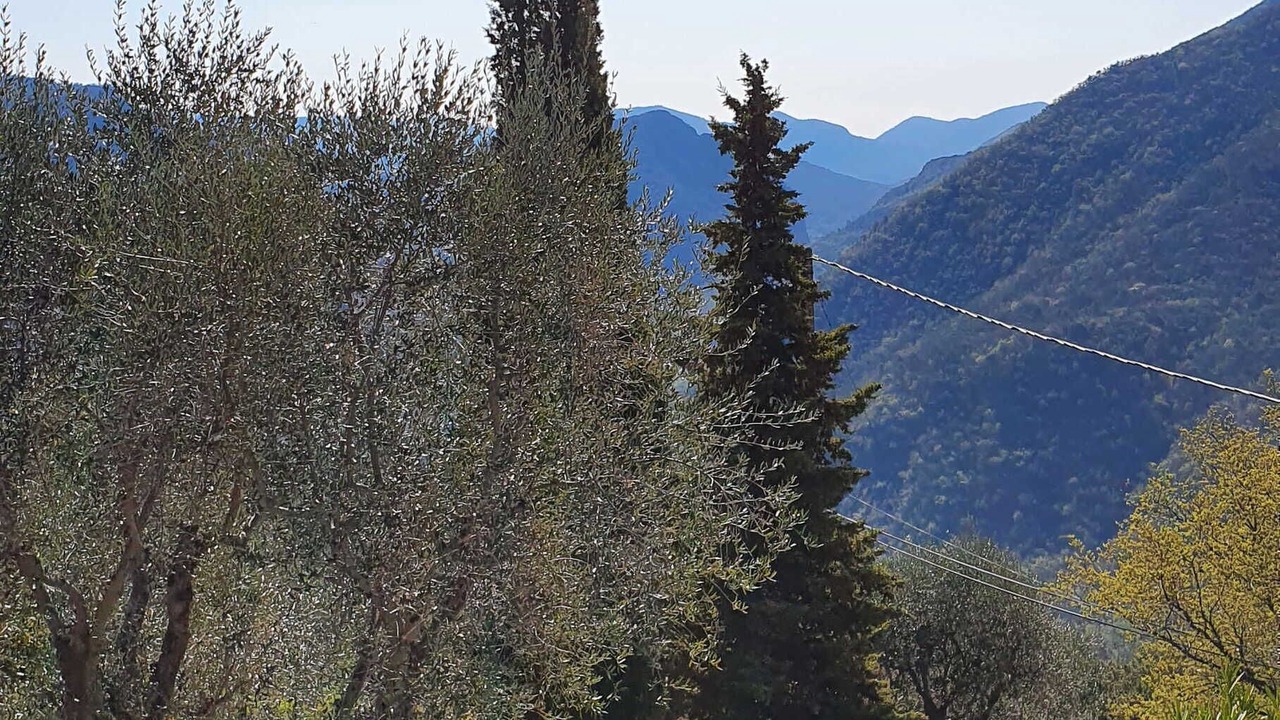 Photo of Others in Pierrefeu