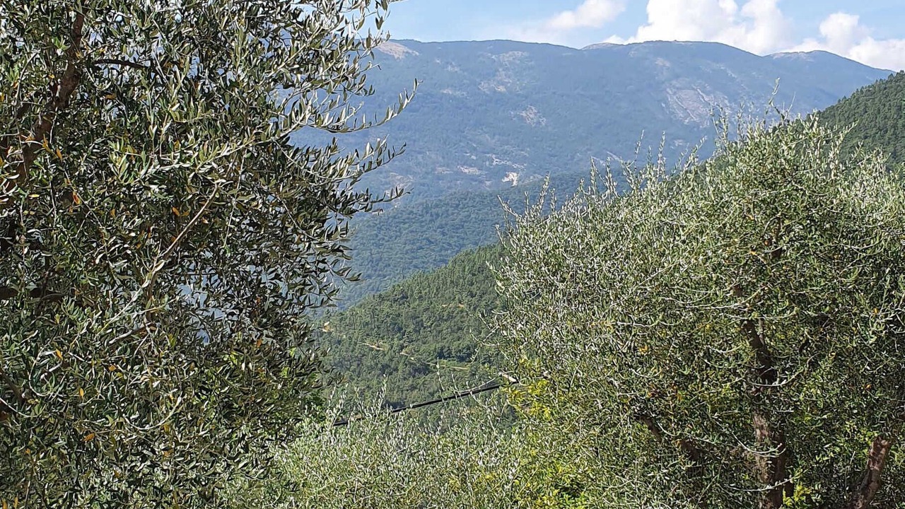 Photo of Others in Pierrefeu
