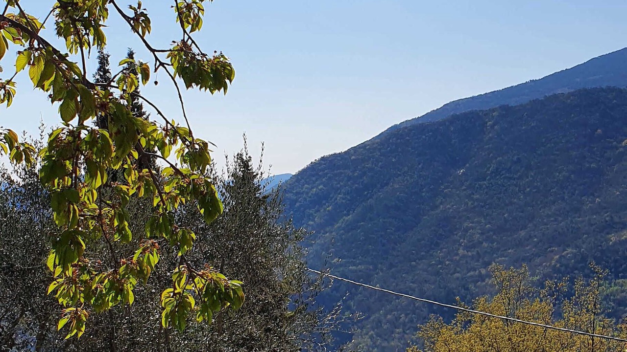Photo of Outdoor in Pierrefeu