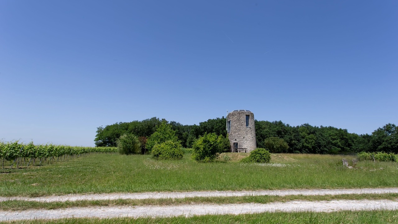 Photo of Outdoor in Haute-Saintonge